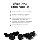 6 MM Decorative Black Onyx Solitaire Stud Earrings Black Onyx - ( AAA ) - Quality - Rosec Jewels