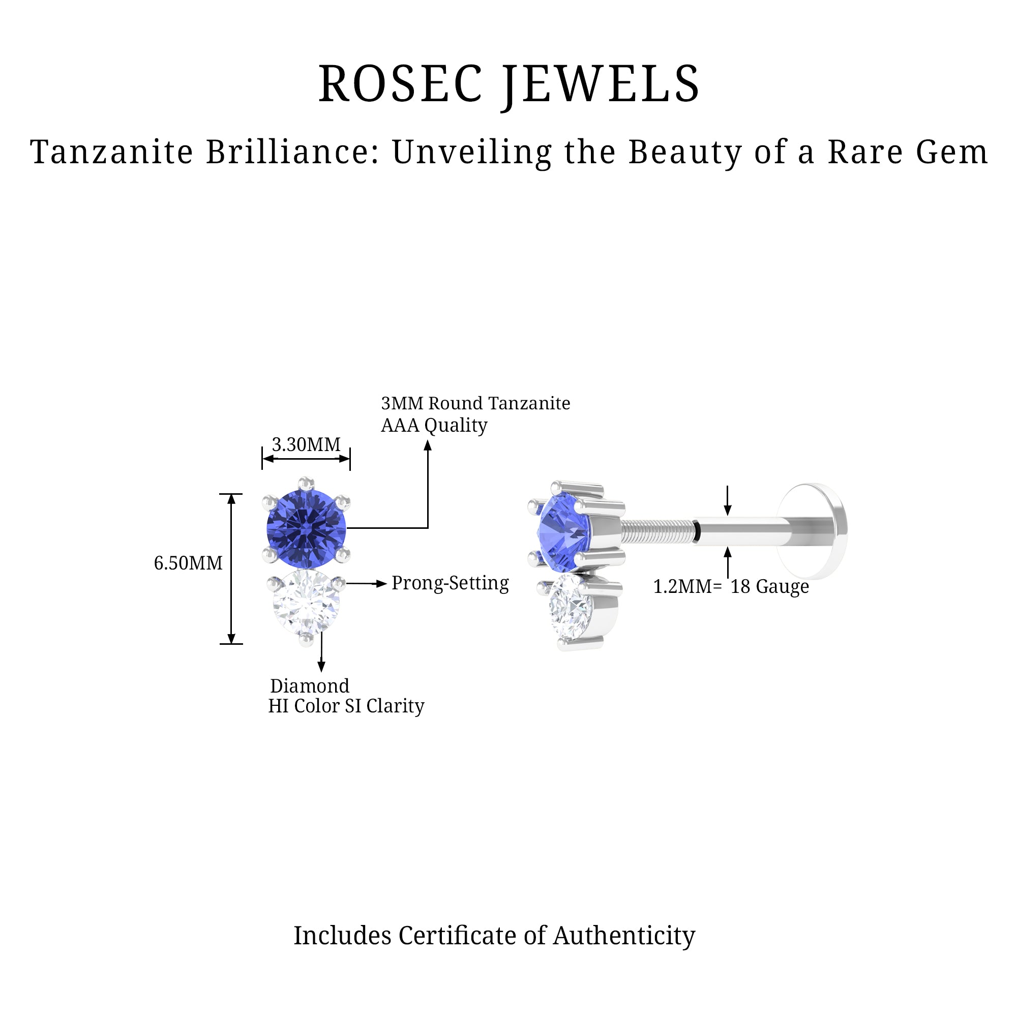 Rosec Jewels-Round Cut Tanzanite and Diamond Two Stone Conch Earring